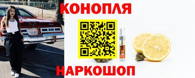 амф Обь