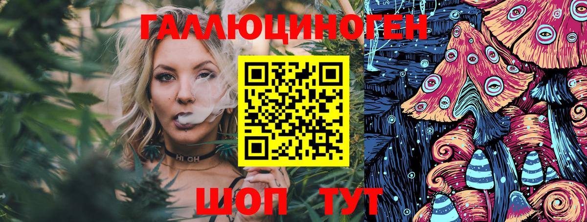 Ржев  Галлюциногенные грибы Magic Shrooms  где продают   Псилоцибиновые грибы Magic Shrooms  Вход с VPN 